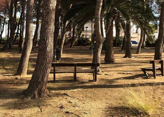 Piso Mimosas 90 Metros De Playa Port Pollensa *